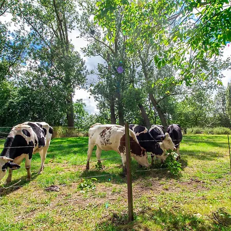Sweet-renoir, Calme, Parking Prive