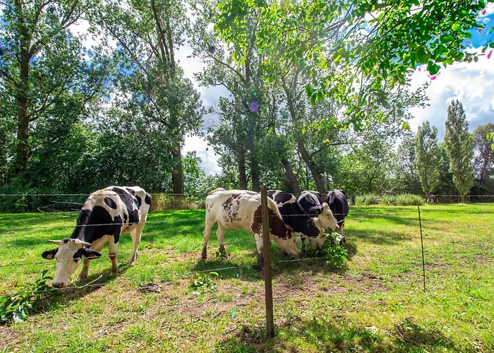 Sweet-renoir, Calme, Parking Privé